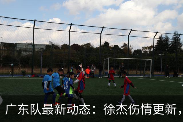 广东队最新动态：徐杰伤情更新，焦泊乔交易行情下滑，陈家政坚持加练提升